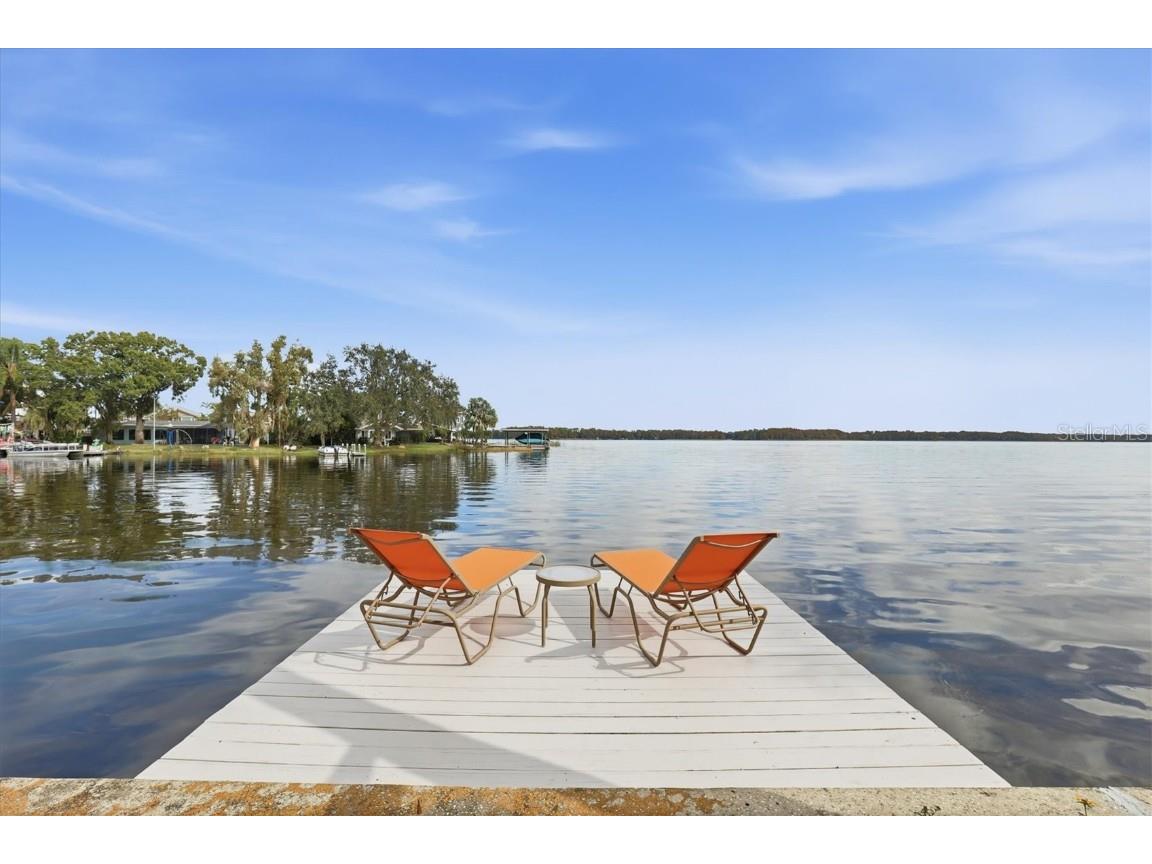 66 N Canal Drive Palm Harbor FL 34684 - LAKE TARPON TB8457204 image45