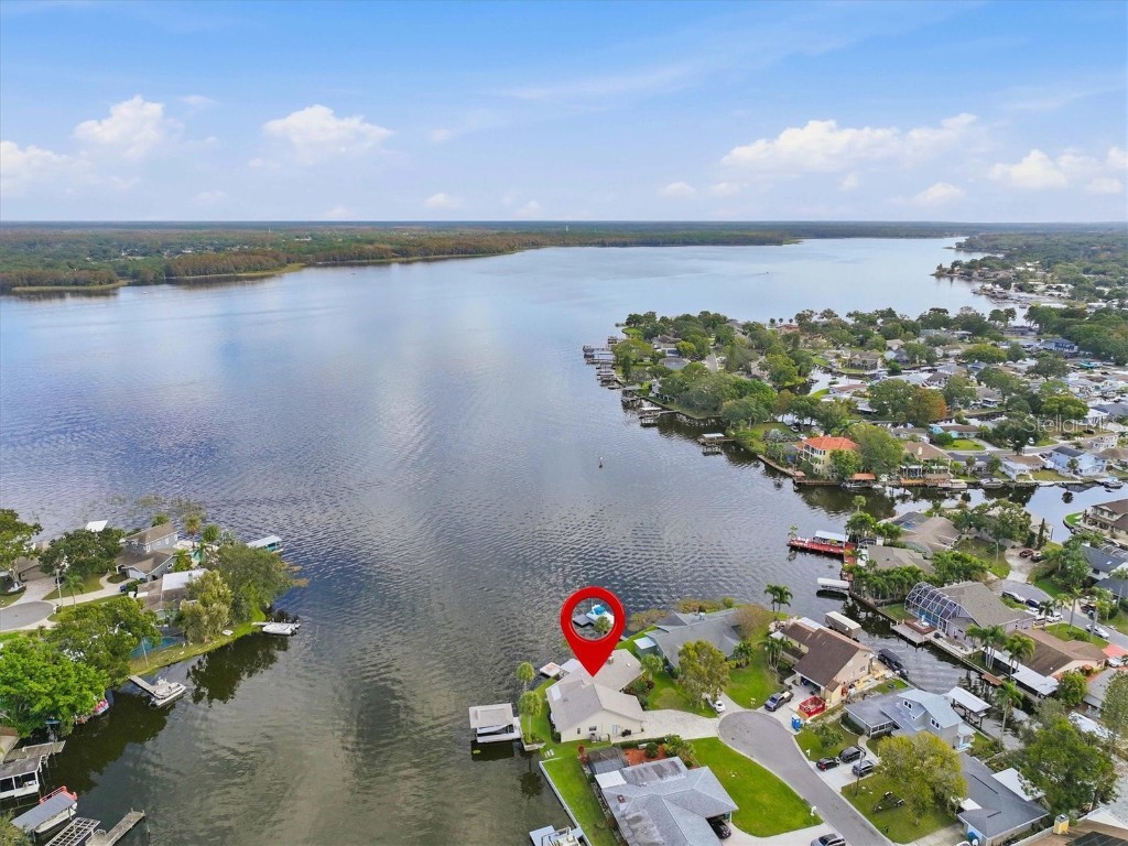 66 N Canal Drive Palm Harbor FL 34684 - LAKE TARPON TB8457204 image66