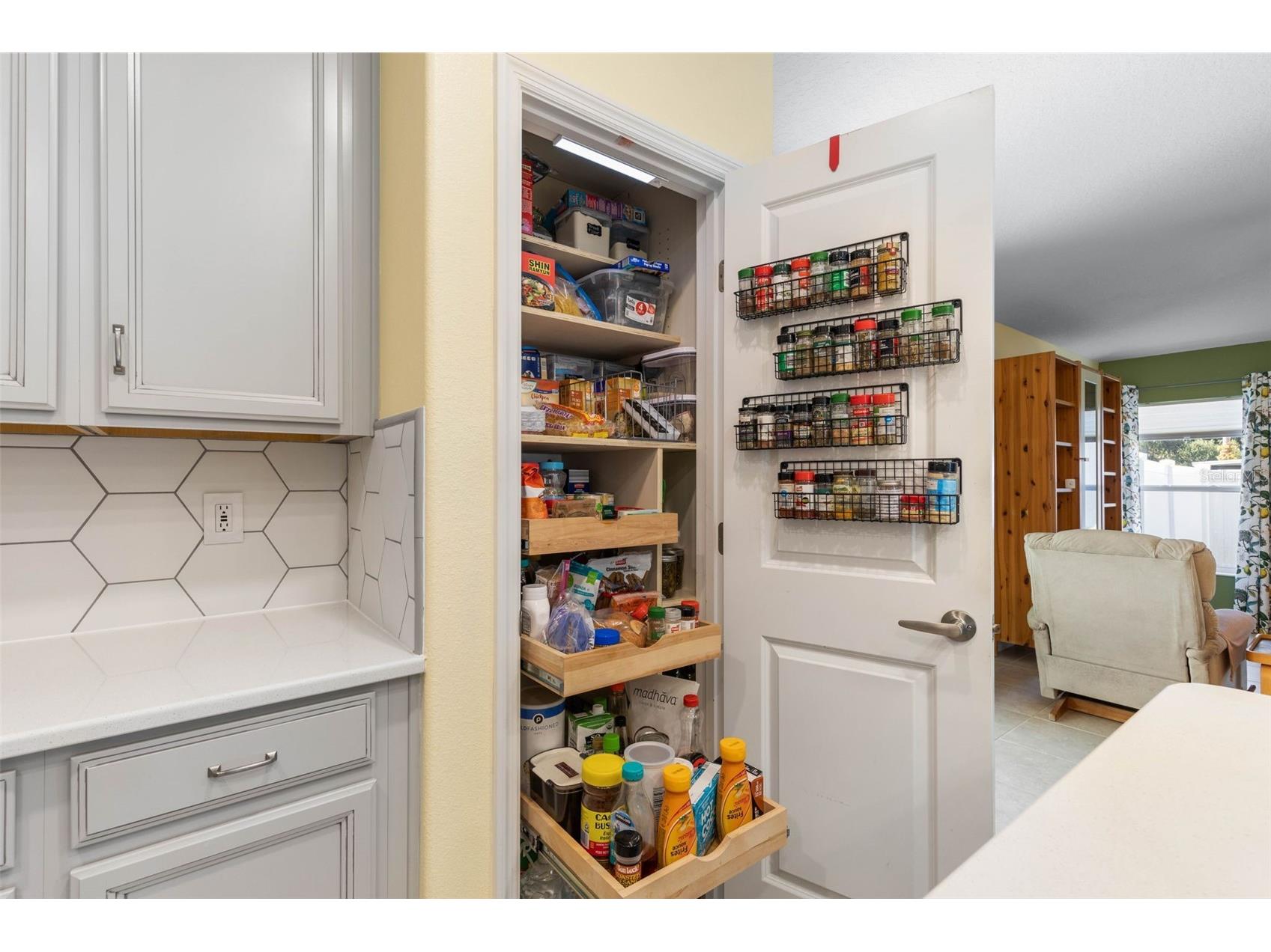 66 Princess Ruth Lane Palm Coast FL 32164 FC315783 image20