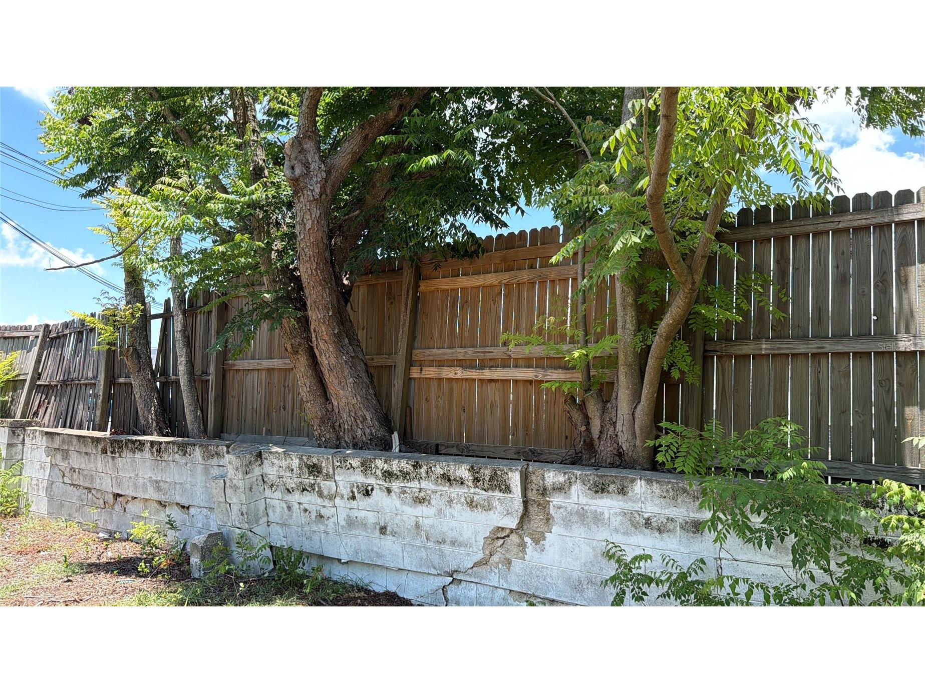 66 S Washington Street Beverly Hills FL 34465 TB8515411 image10