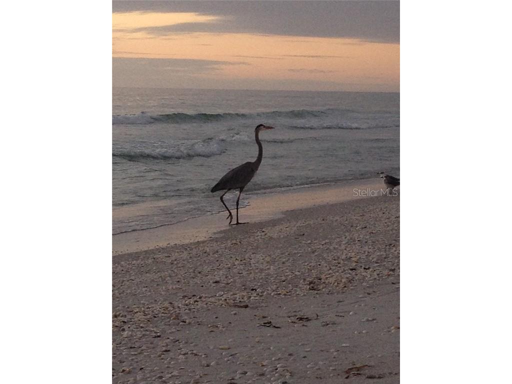 66 Tarpon Way Placida FL 33946 - INTRACOASTAL WATERWAY D6142503 image23