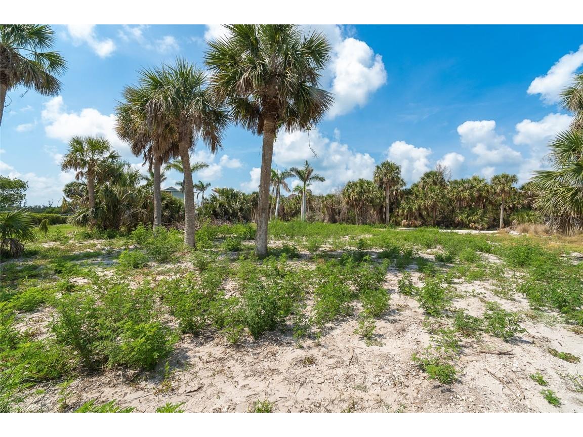 66 Tarpon Way Placida FL 33946 - INTRACOASTAL WATERWAY D6142503 image5