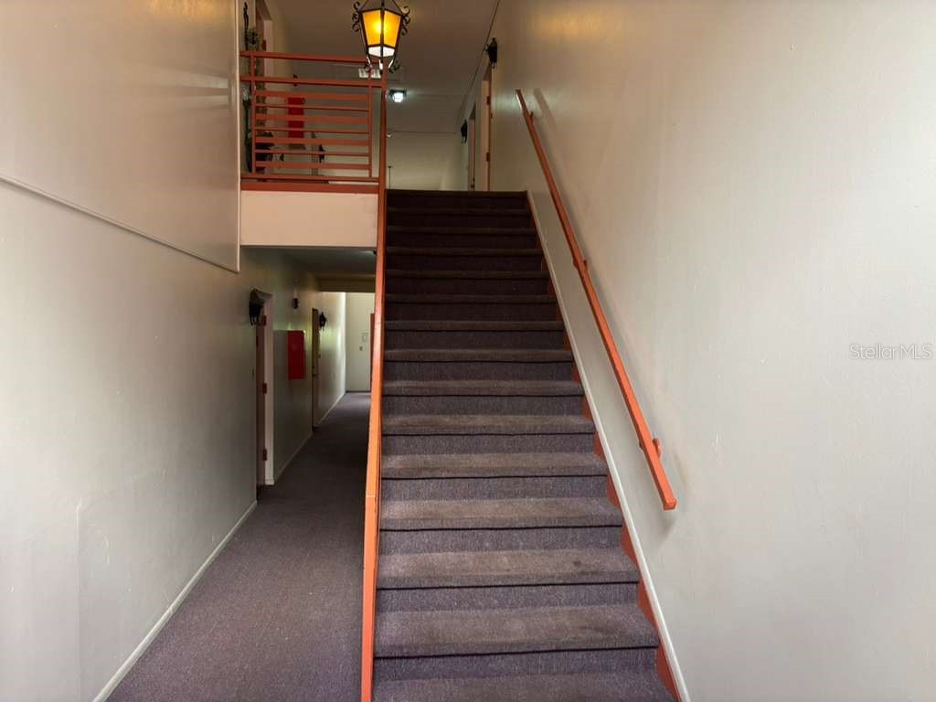 660 62nd Avenue N #1204 Saint Petersburg FL 33702 TB8494208 image12