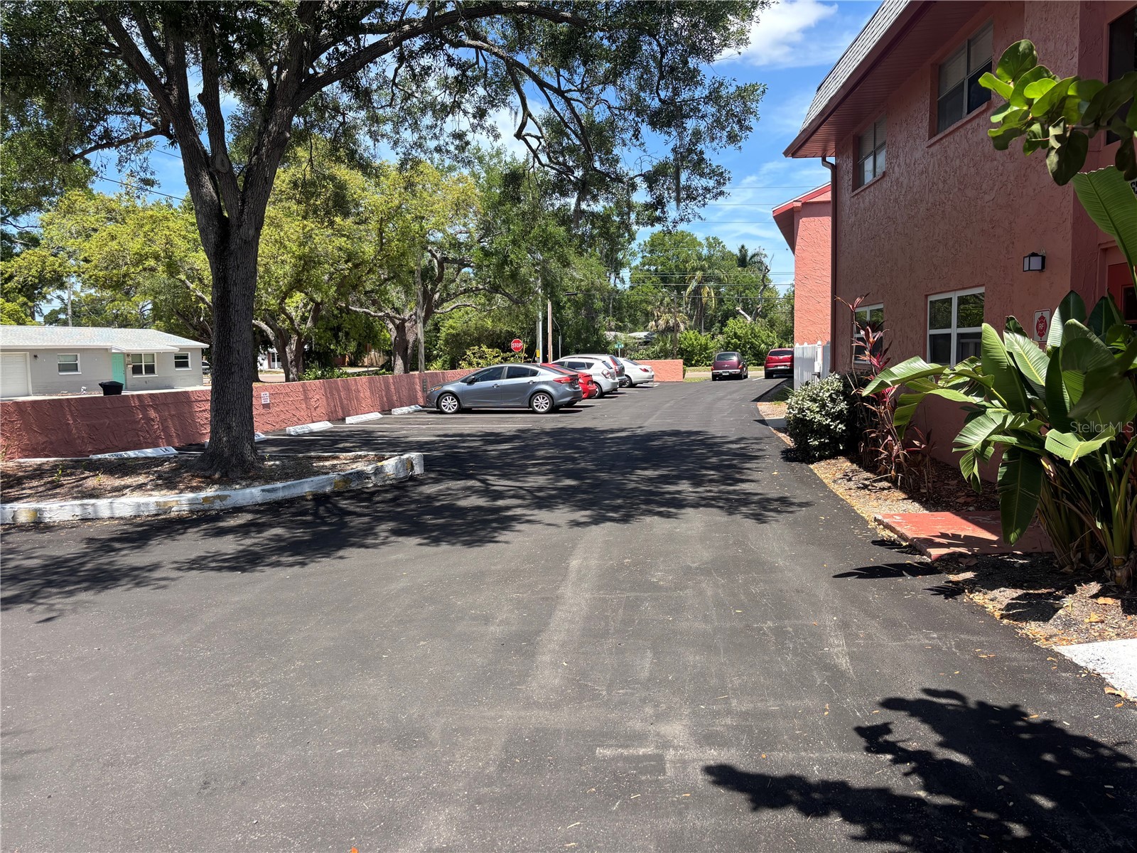 660 62nd Avenue N #1204 Saint Petersburg FL 33702 TB8494208 image14