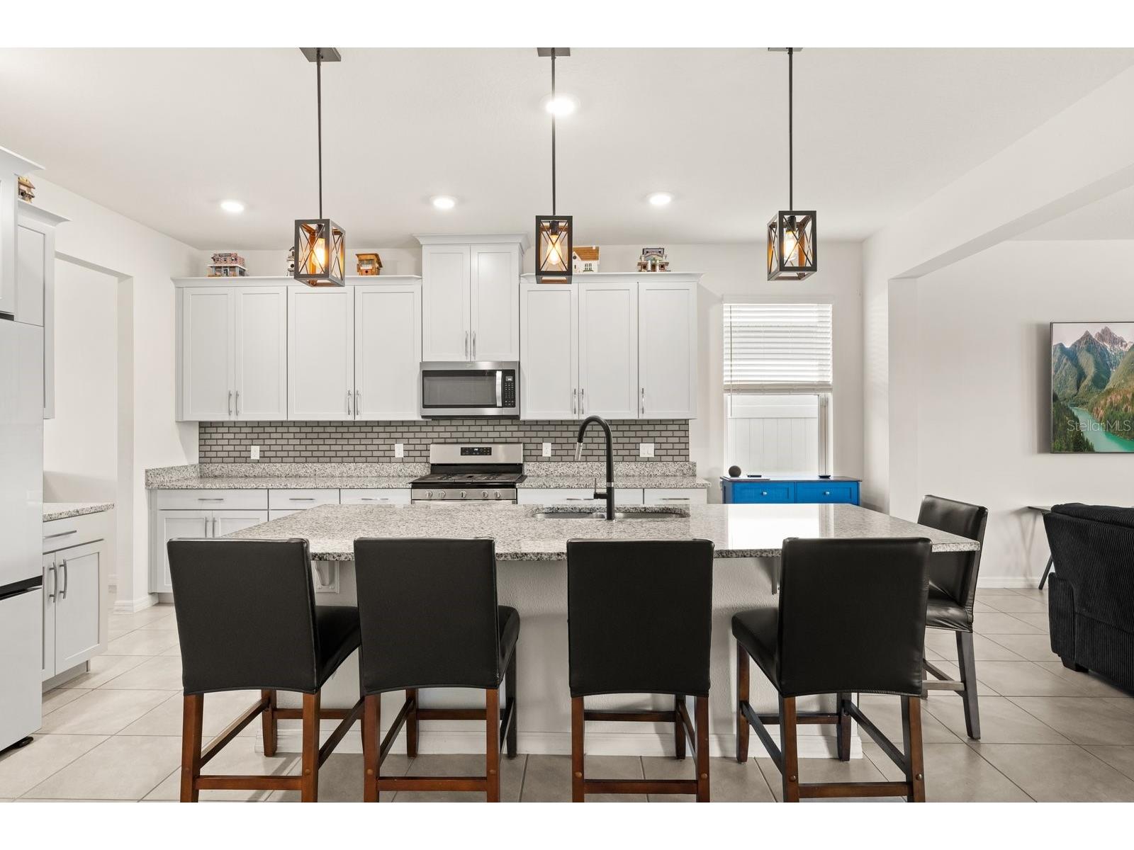 660 Big Pine Avenue Minneola FL 34715 O6390006 image4