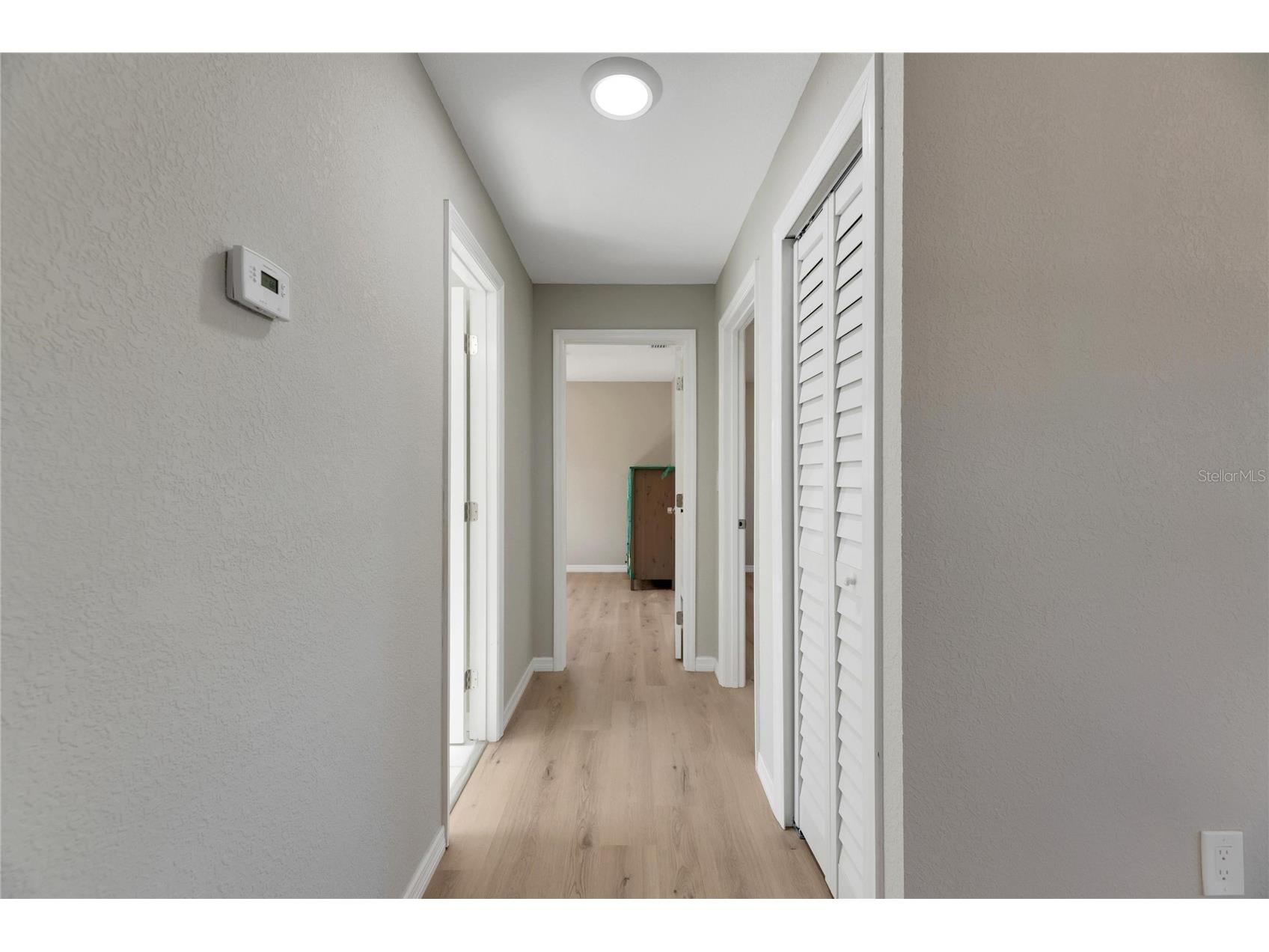 660 Flamingo Drive Apollo Beach FL 33572 TB8487304 image34