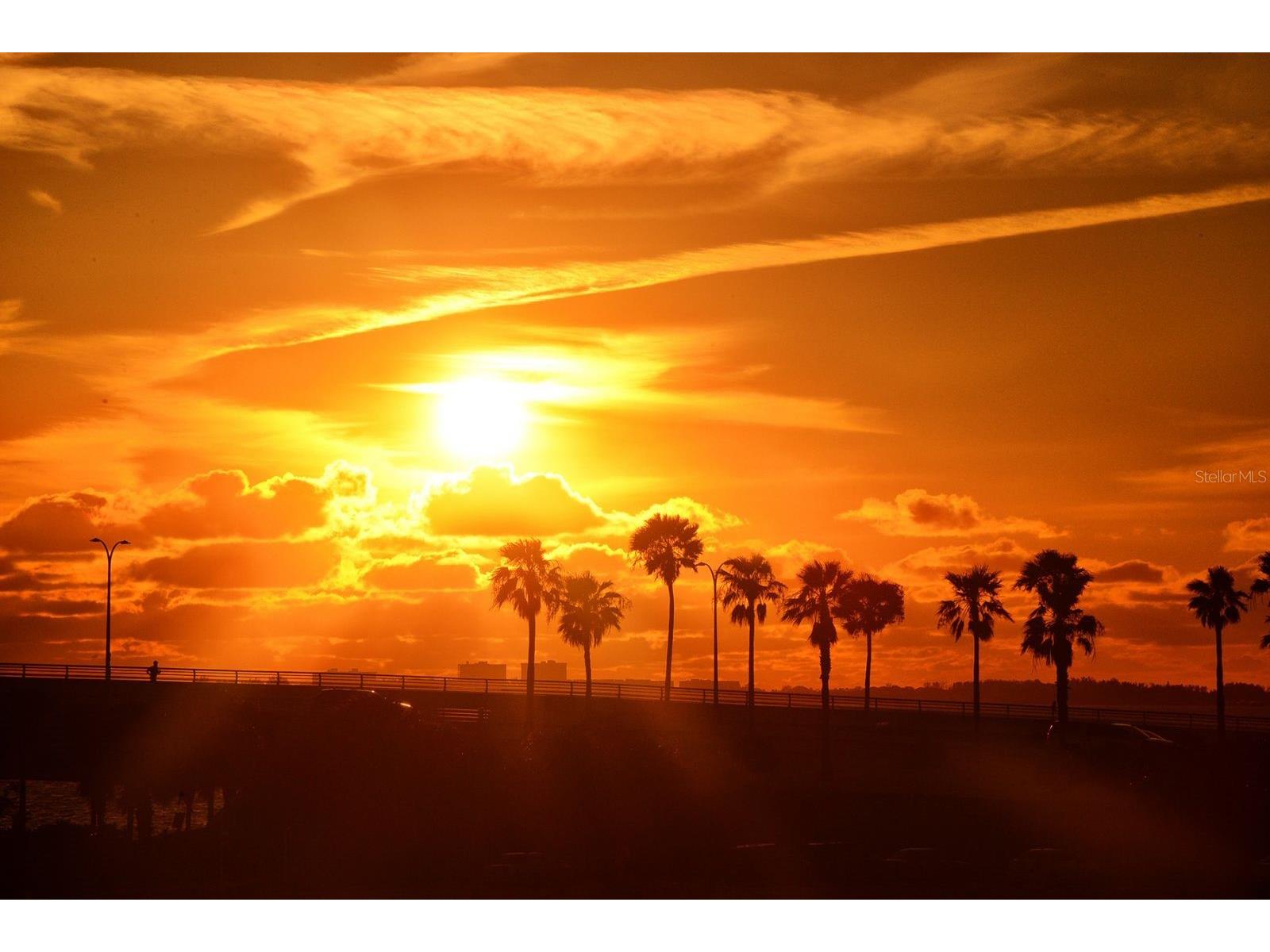 660 Golden Gate Point #32 Sarasota FL 34236 - SARASOTA BAY A4658549 image51