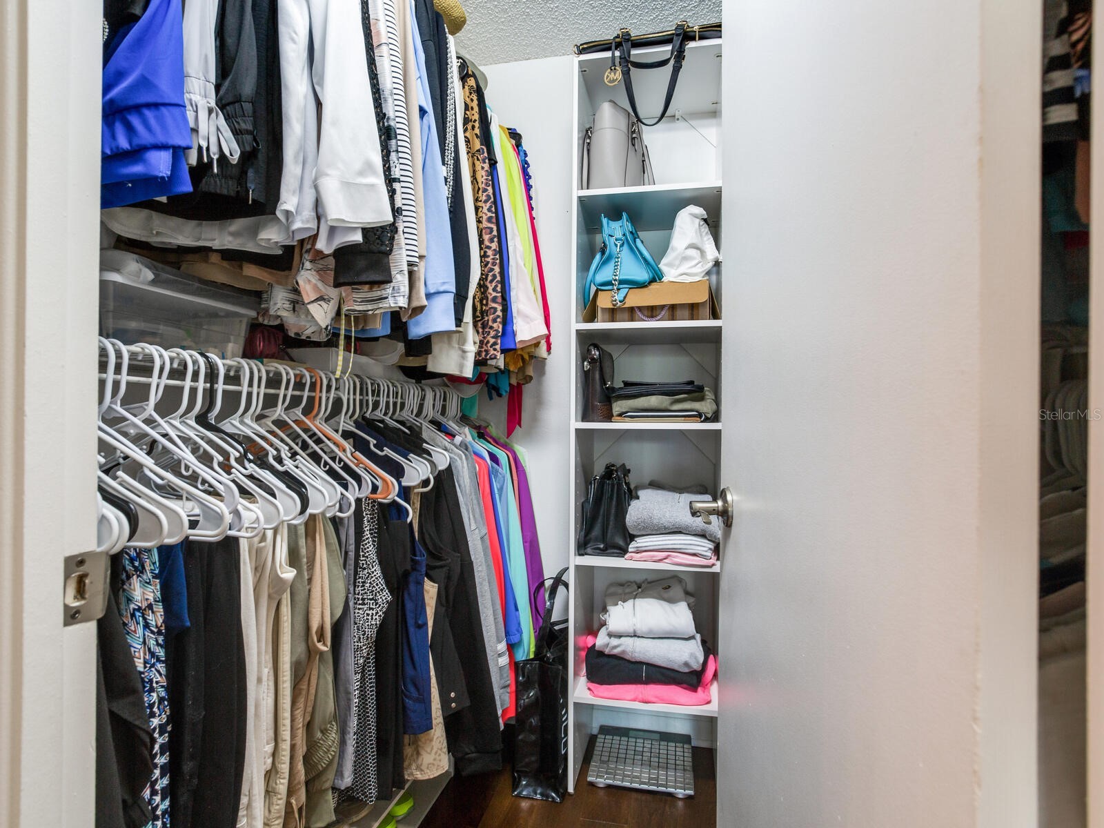 660 Island Way #202 Clearwater Beach FL 33767 - MANDALAY CHANNEL TB8488372 image36