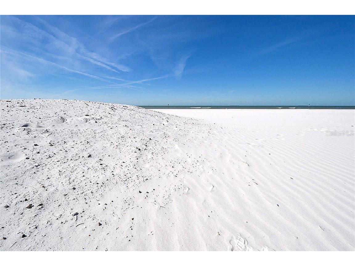 660 Island Way #206 #206 Clearwater FL 33767 - MANDALAY CHANNEL TB8381755 image62