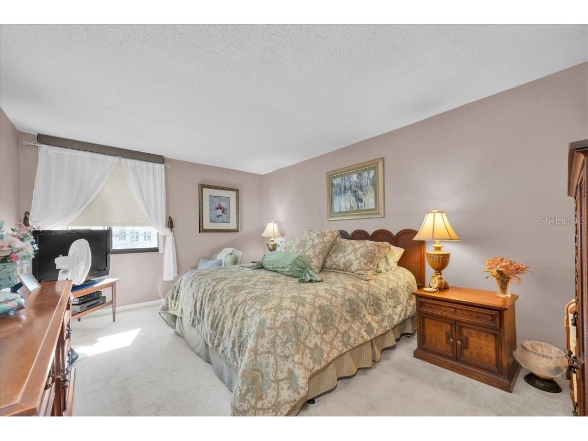 660 Island Way #506 Clearwater Beach FL 33767 - MANDALAY CHANNEL TB8451583 image21