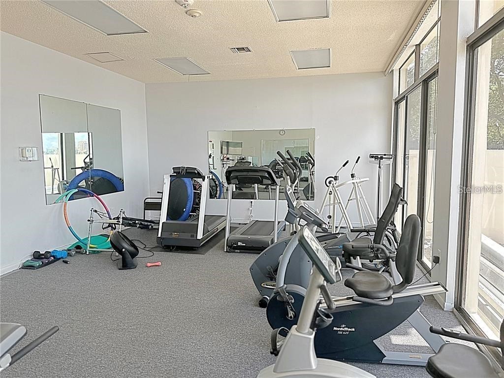 660 Island Way #607 Clearwater FL 33767 TB8460562 image34