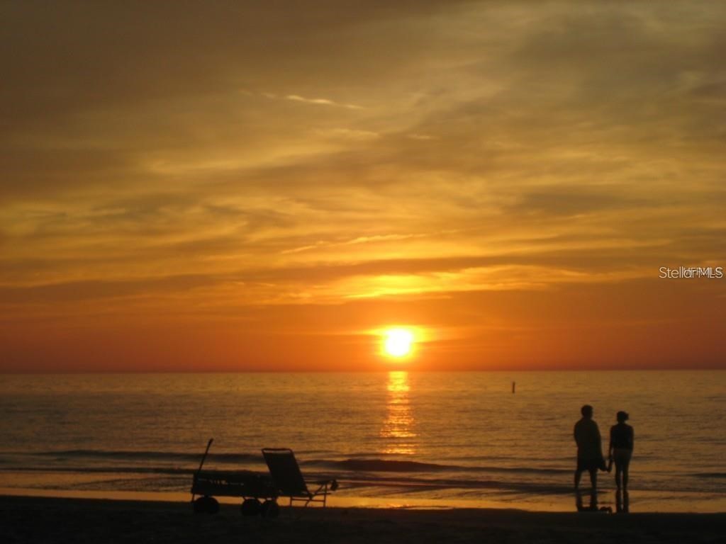 660 Island Way #607 Clearwater FL 33767 TB8460562 image56