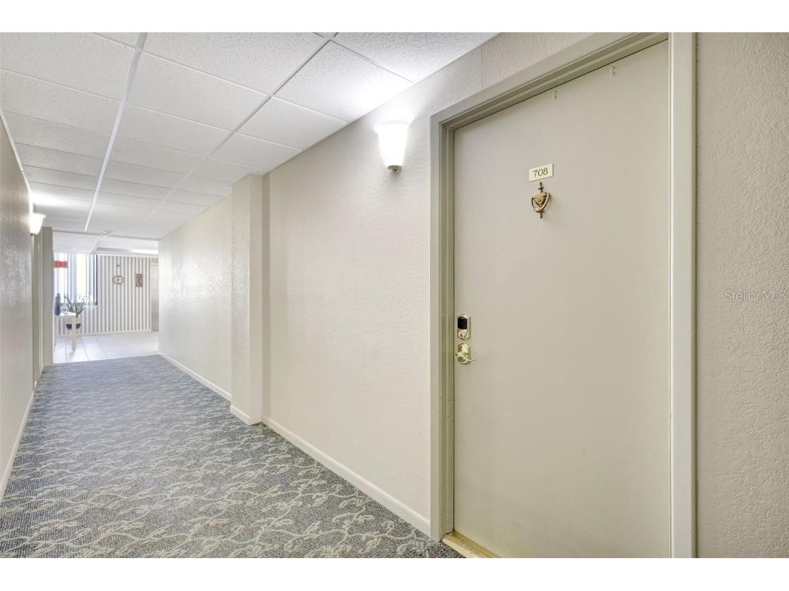 660 Island Way #708 Clearwater Beach FL 33767 - MANDALAY CHANNEL TB8415708 image35