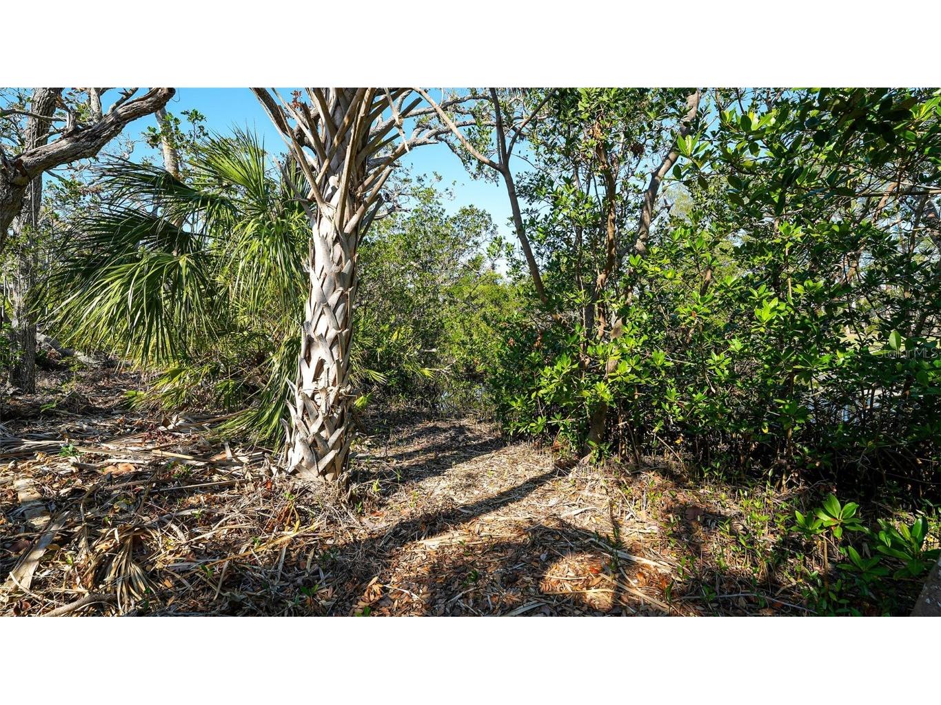 660 Longview Drive Longboat Key FL 34228 - CRANE'S BAYOU/SARASOTA BAY A4632788 image25