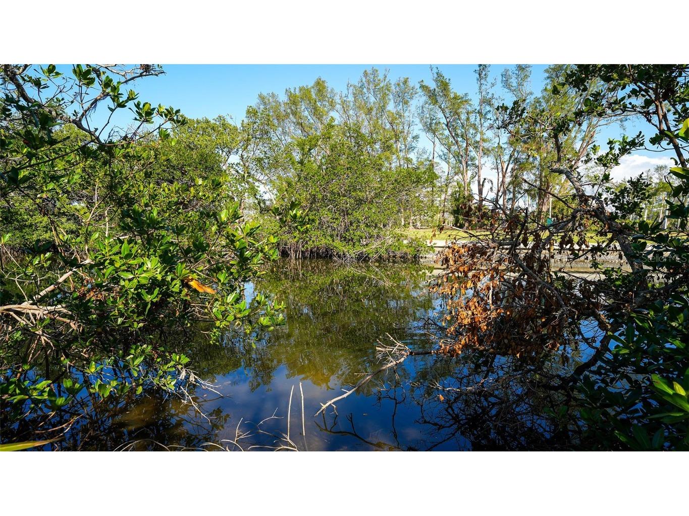 660 Longview Drive Longboat Key FL 34228 - CRANE'S BAYOU/SARASOTA BAY A4632788 image27