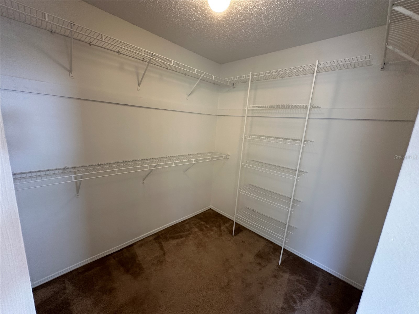 660 Marlene Drive Ocoee FL 34761 O6421986 image20