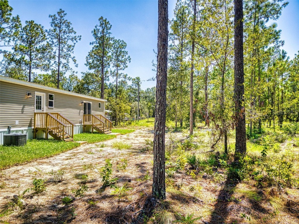 660 NE 131 Avenue Williston FL 32696 A4667952 image49