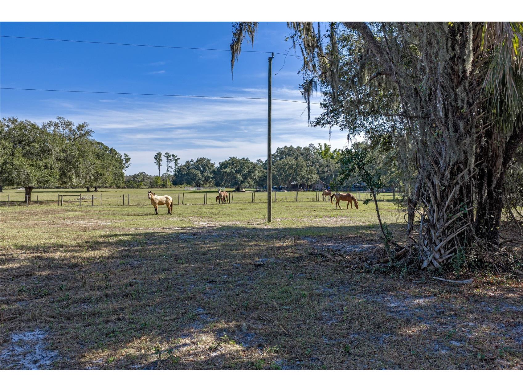 660 Old Bartow Lake Wales Road Bartow FL 33830 L4958600 image54