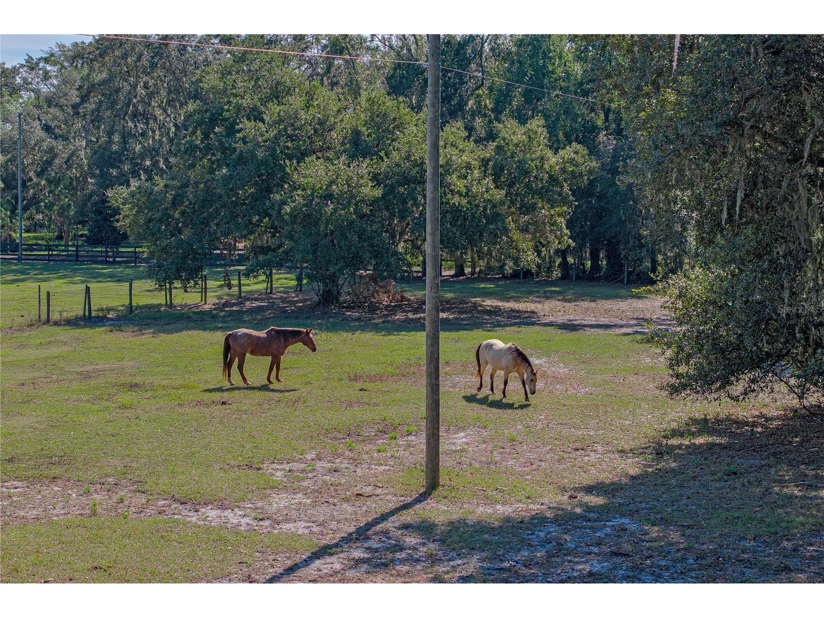 660 Old Bartow Lake Wales Road Bartow FL 33830 L4958600 image55