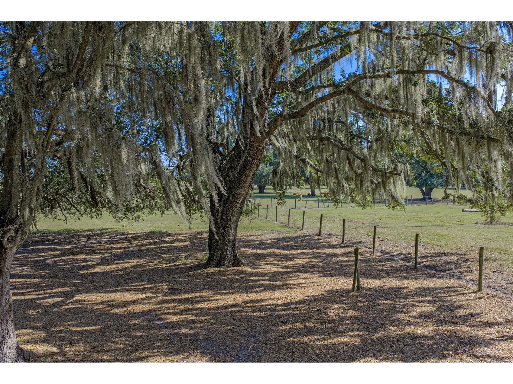 660 Old Bartow Lake Wales Road Bartow FL 33830 L4958600 image56