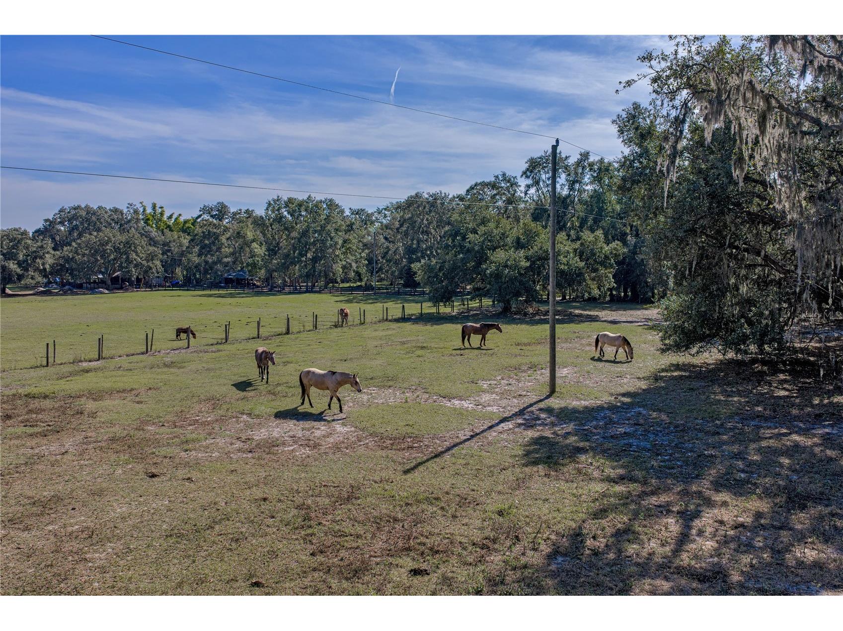 660 Old Bartow Lake Wales Road Bartow FL 33830 L4958600 image57