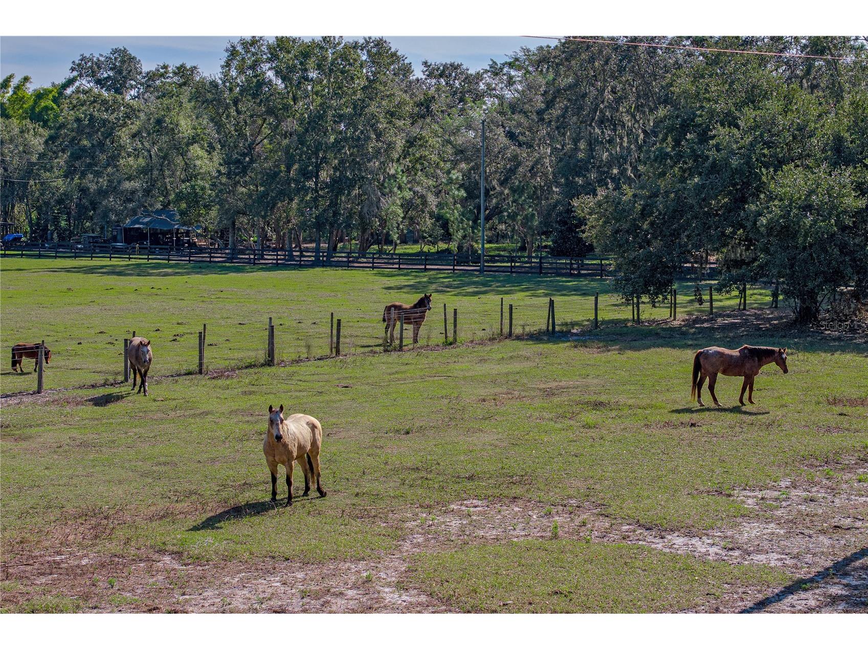 660 Old Bartow Lake Wales Road Bartow FL 33830 L4958600 image6
