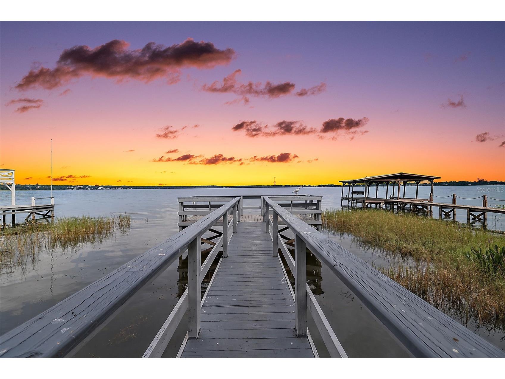 660 Oleander Street Mount Dora FL 32757 - LAKE DORA G5114504 image3