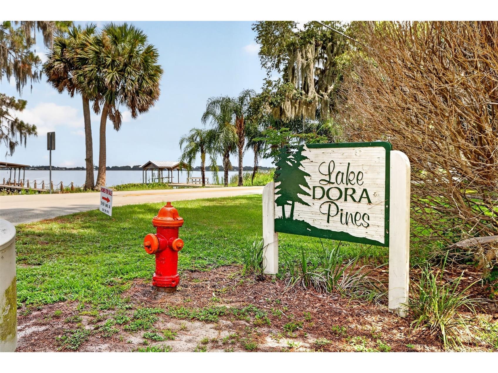 660 Oleander Street Mount Dora FL 32757 - LAKE DORA G5114504 image38