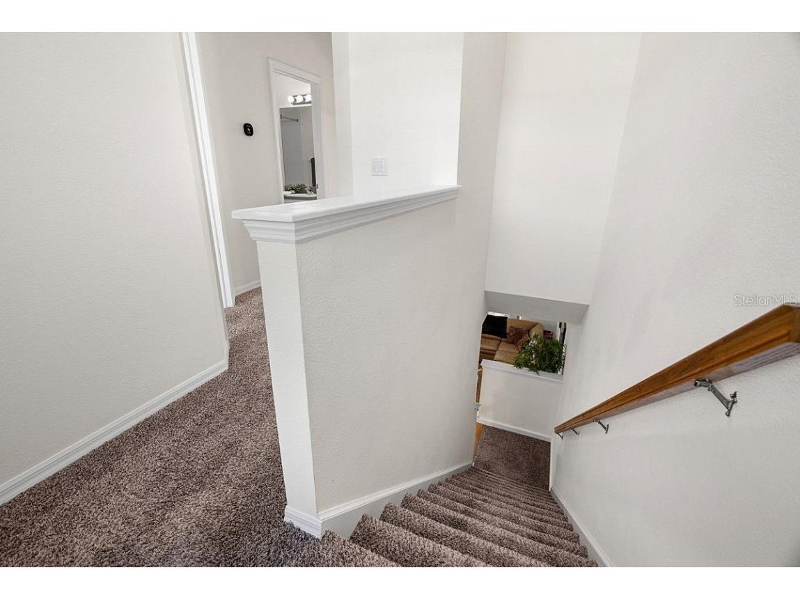 660 Spring Lake Circle Tarpon Springs FL 34688 - SALT LAKE TB8452832 image24