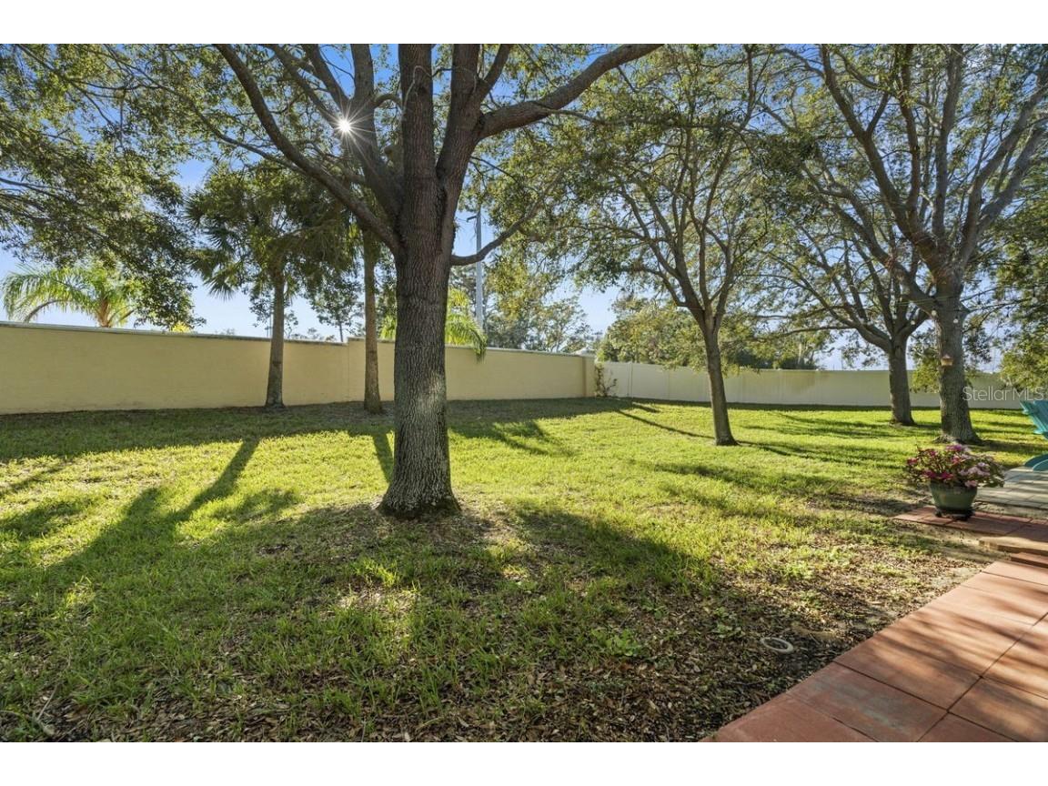 660 Spring Lake Circle Tarpon Springs FL 34688 - SALT LAKE TB8452832 image27
