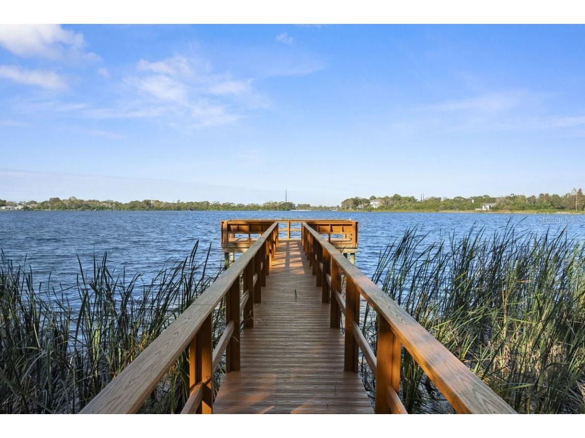 660 Spring Lake Circle Tarpon Springs FL 34688 - SALT LAKE TB8452832 image35