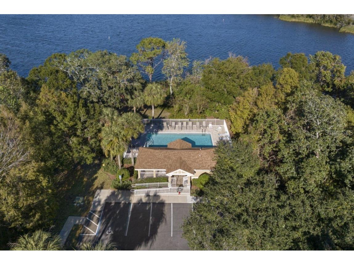 660 Spring Lake Circle Tarpon Springs FL 34688 - SALT LAKE TB8452832 image37