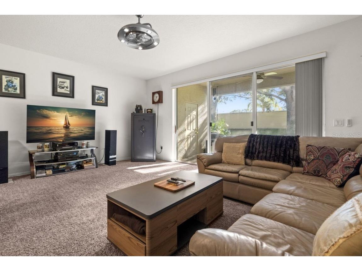 660 Spring Lake Circle Tarpon Springs FL 34688 - SALT LAKE TB8452832 image7