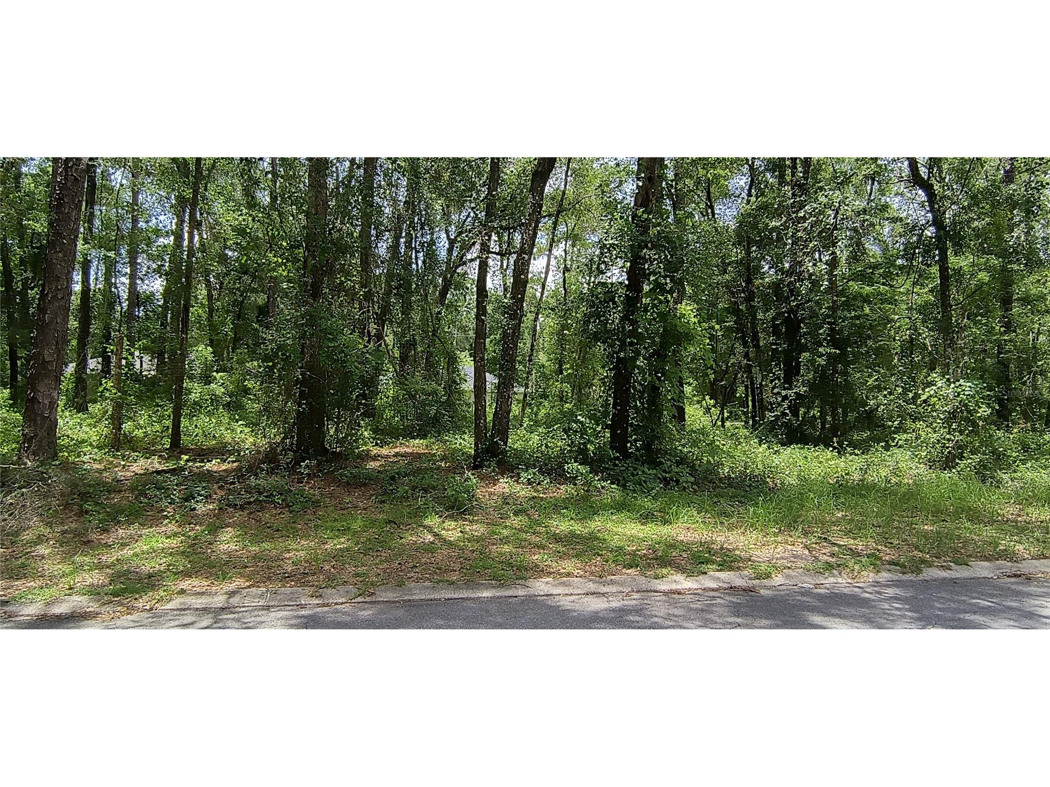 6600 E Gentry Street Inverness FL 34452 C7527195 image2