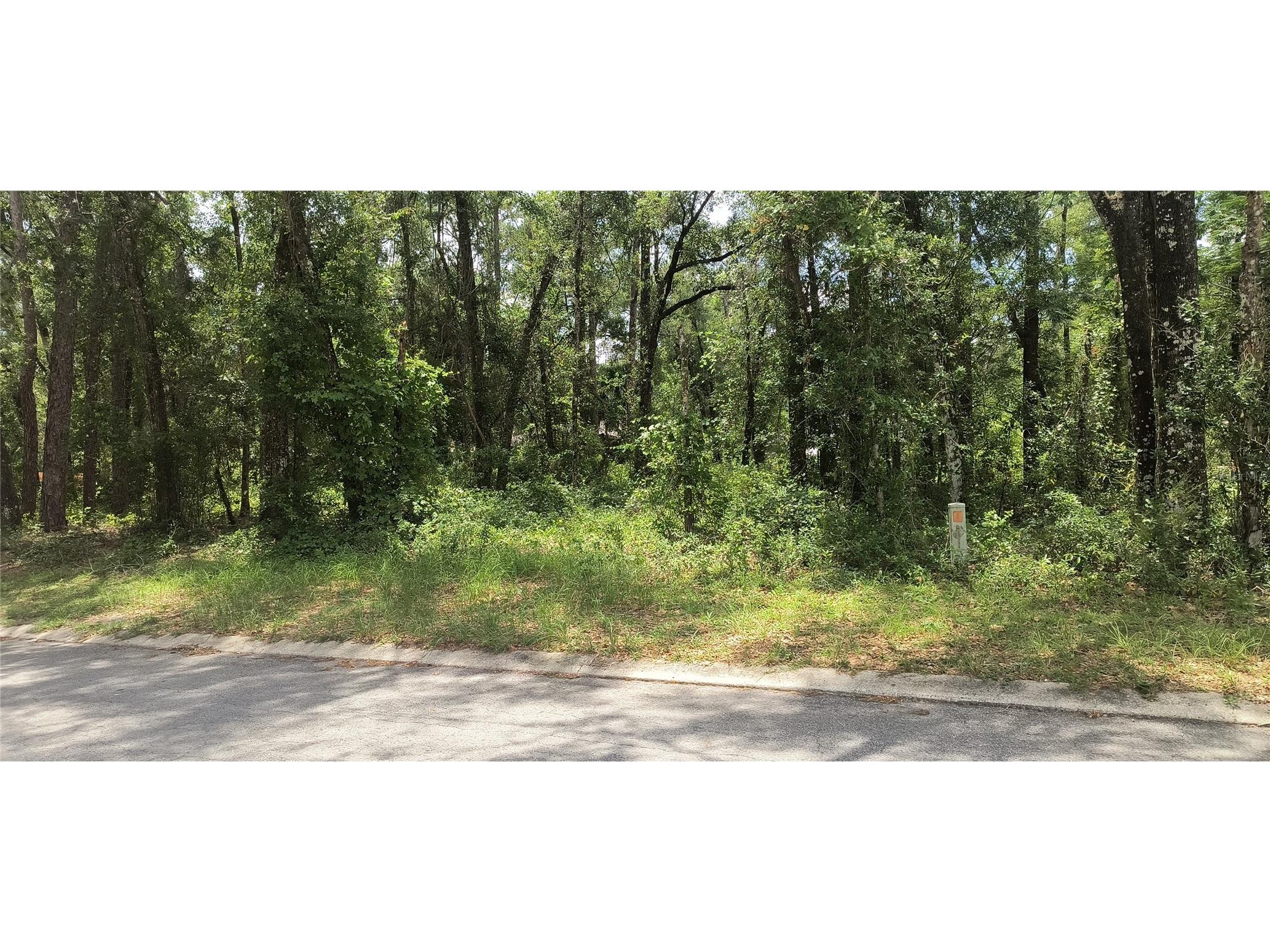 6600 E Gentry Street Inverness FL 34452 C7527195 image3