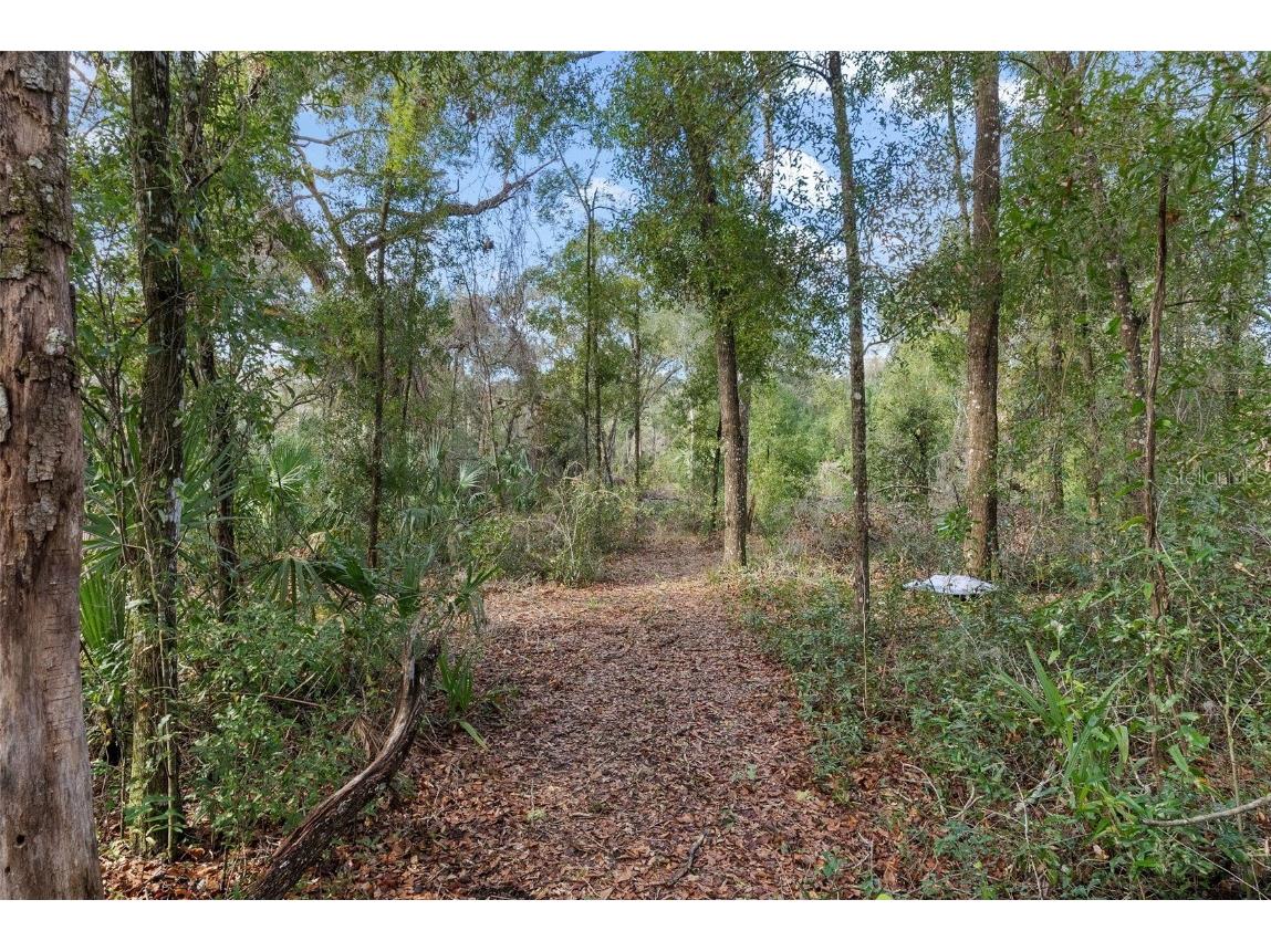 6600 E Noel Place Inverness FL 34452 TB8334965 image1