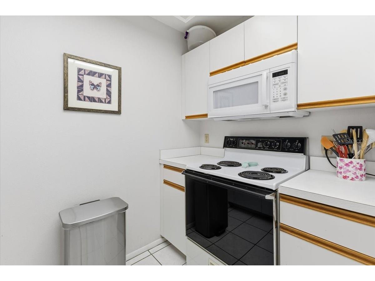 6600 Gasparilla Pines Boulevard #107 Englewood FL 34224 D6146940 image9