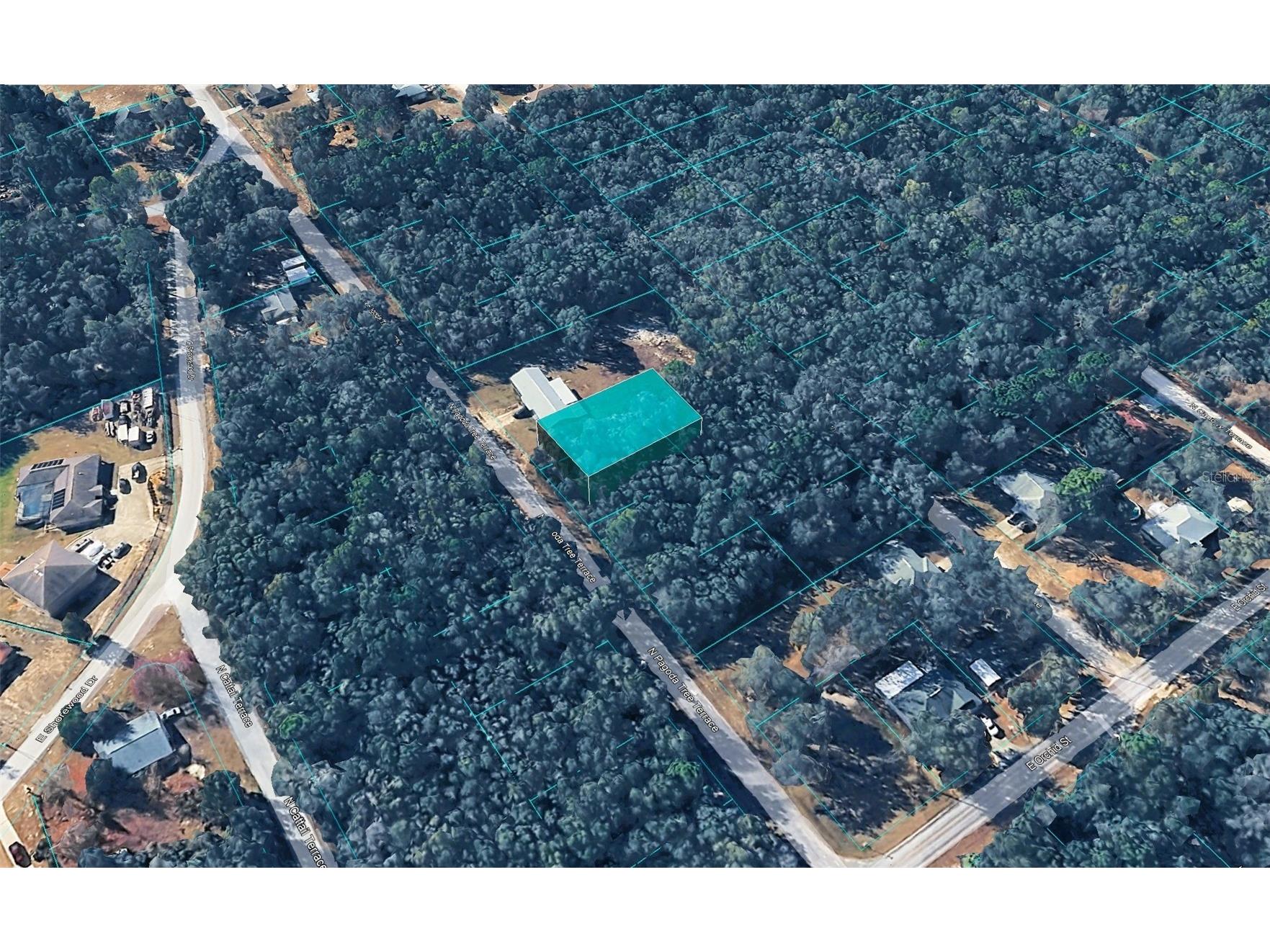 6600 N Pagoda Tree Terrace Hernando FL 34442 TB8471477 image1
