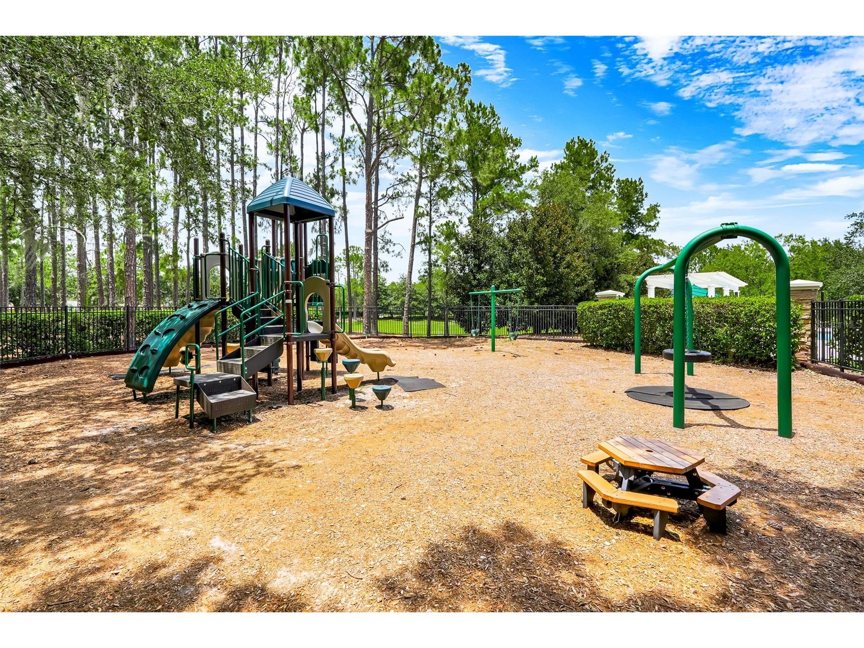 6601 Duncaster Street Windermere FL 34786 O6416272 image57