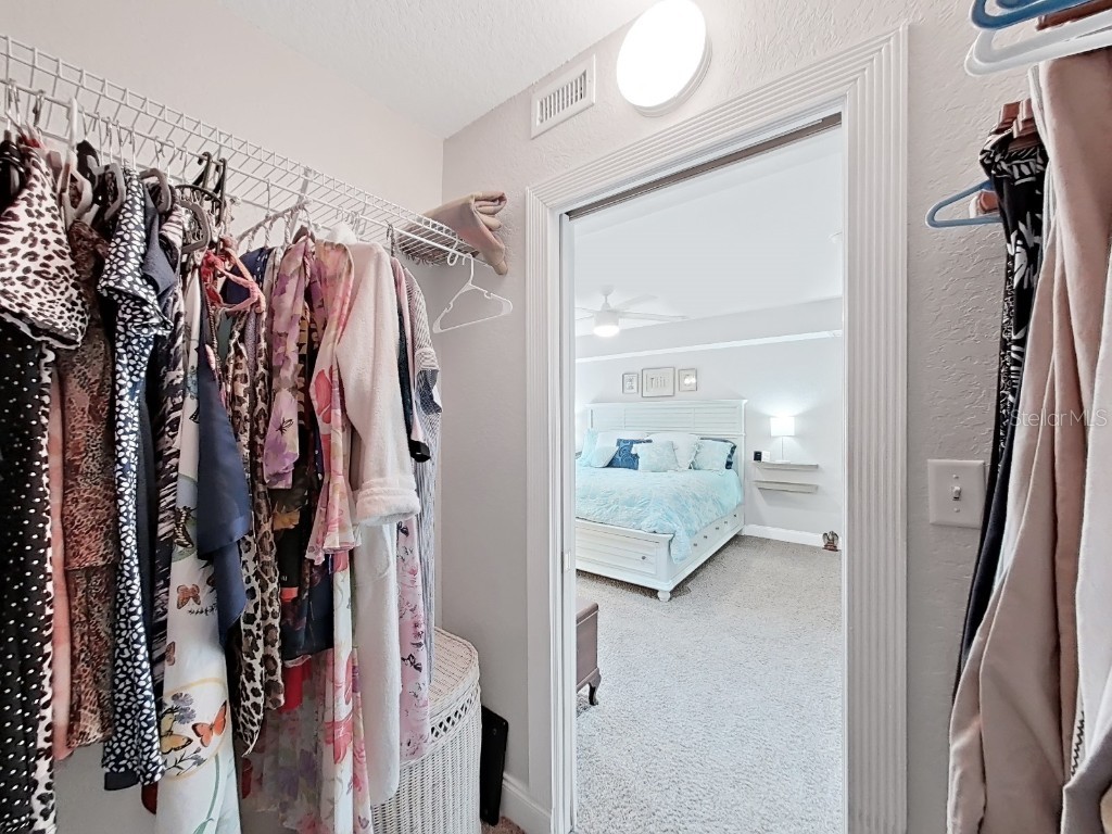 6601 Renaldo Way S Saint Petersburg FL 33707 TB8439305 image17