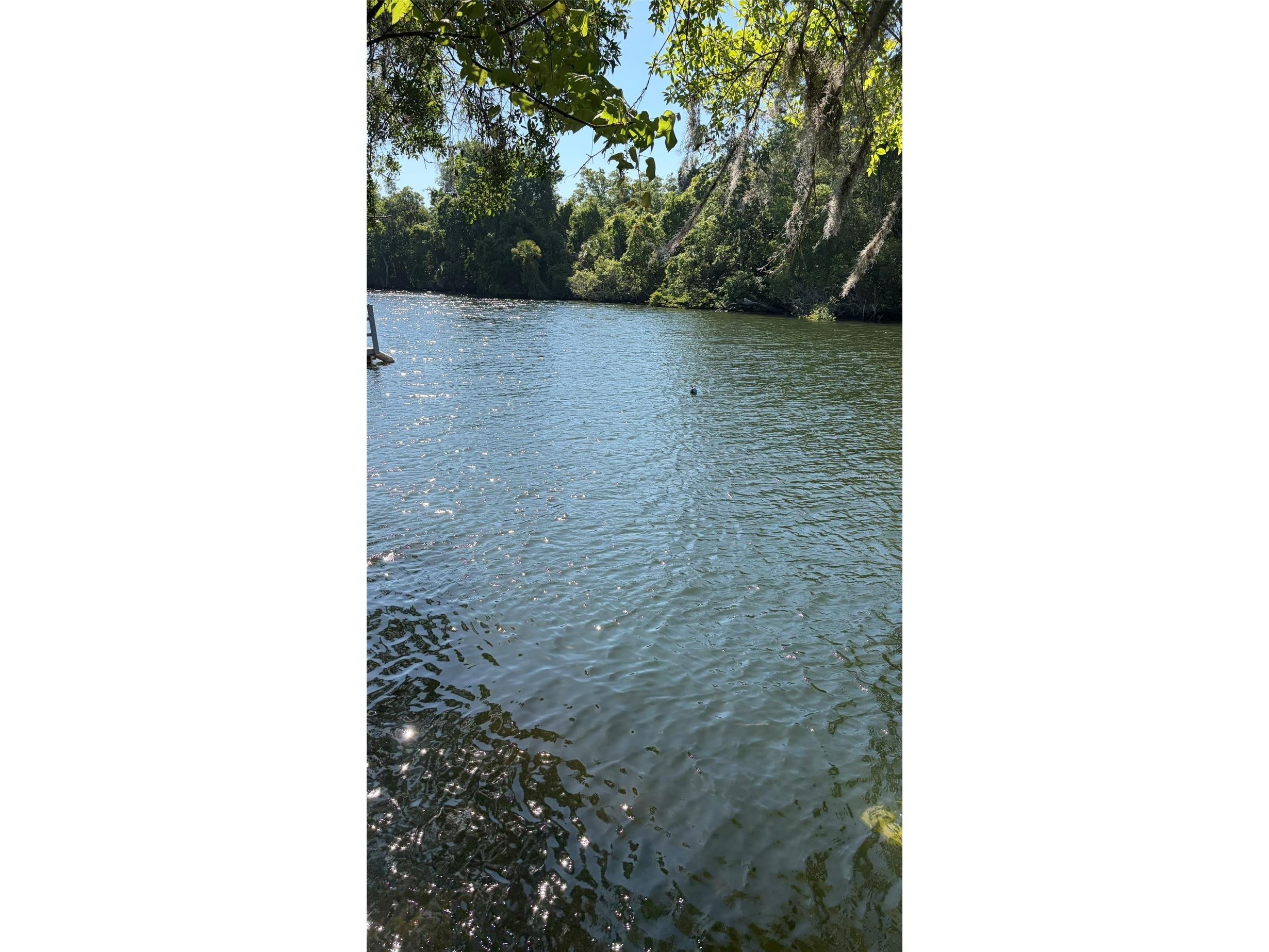 6601 Riverside Drive Yankeetown FL 34498 G5112223 image15