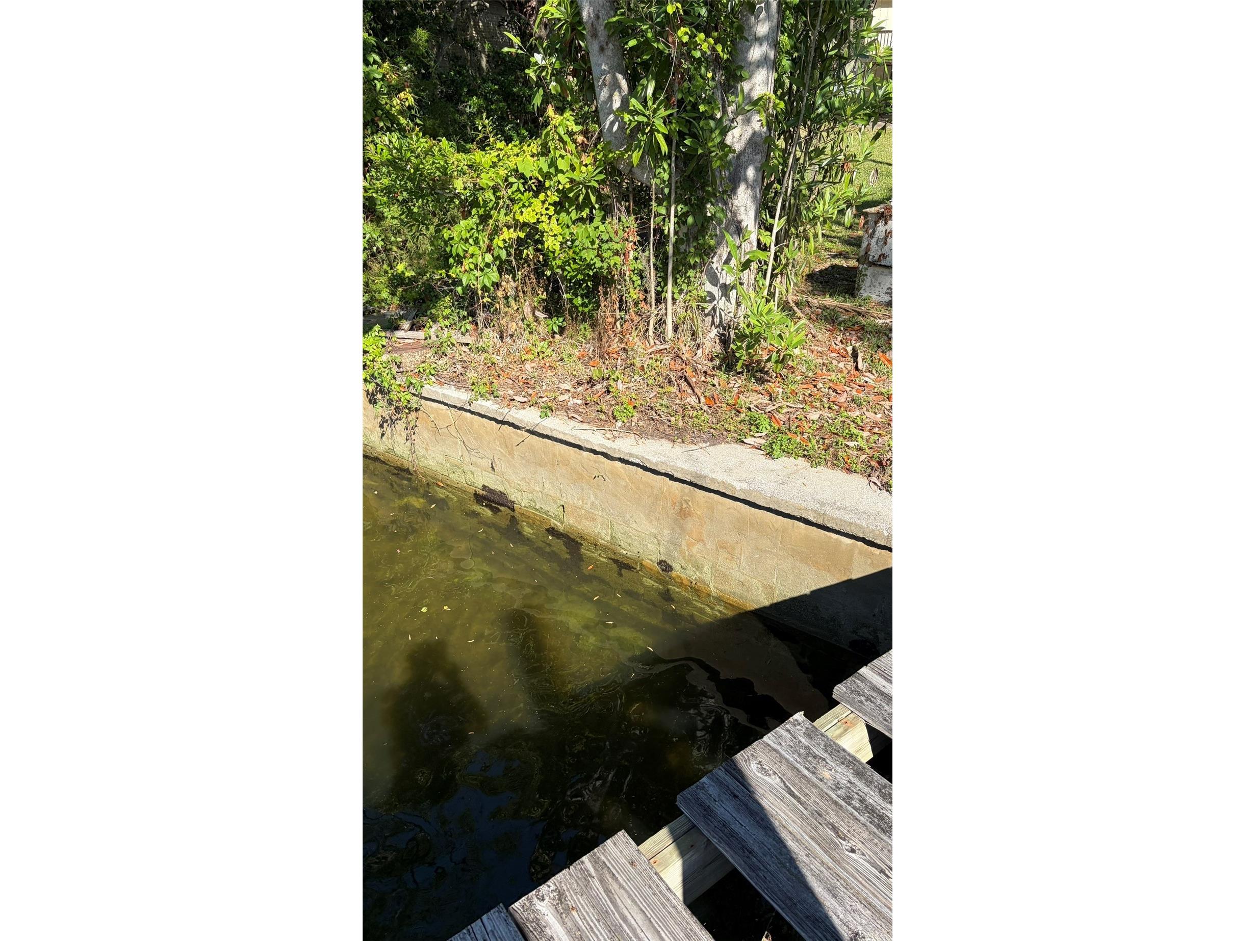 6601 Riverside Drive Yankeetown FL 34498 G5112223 image8