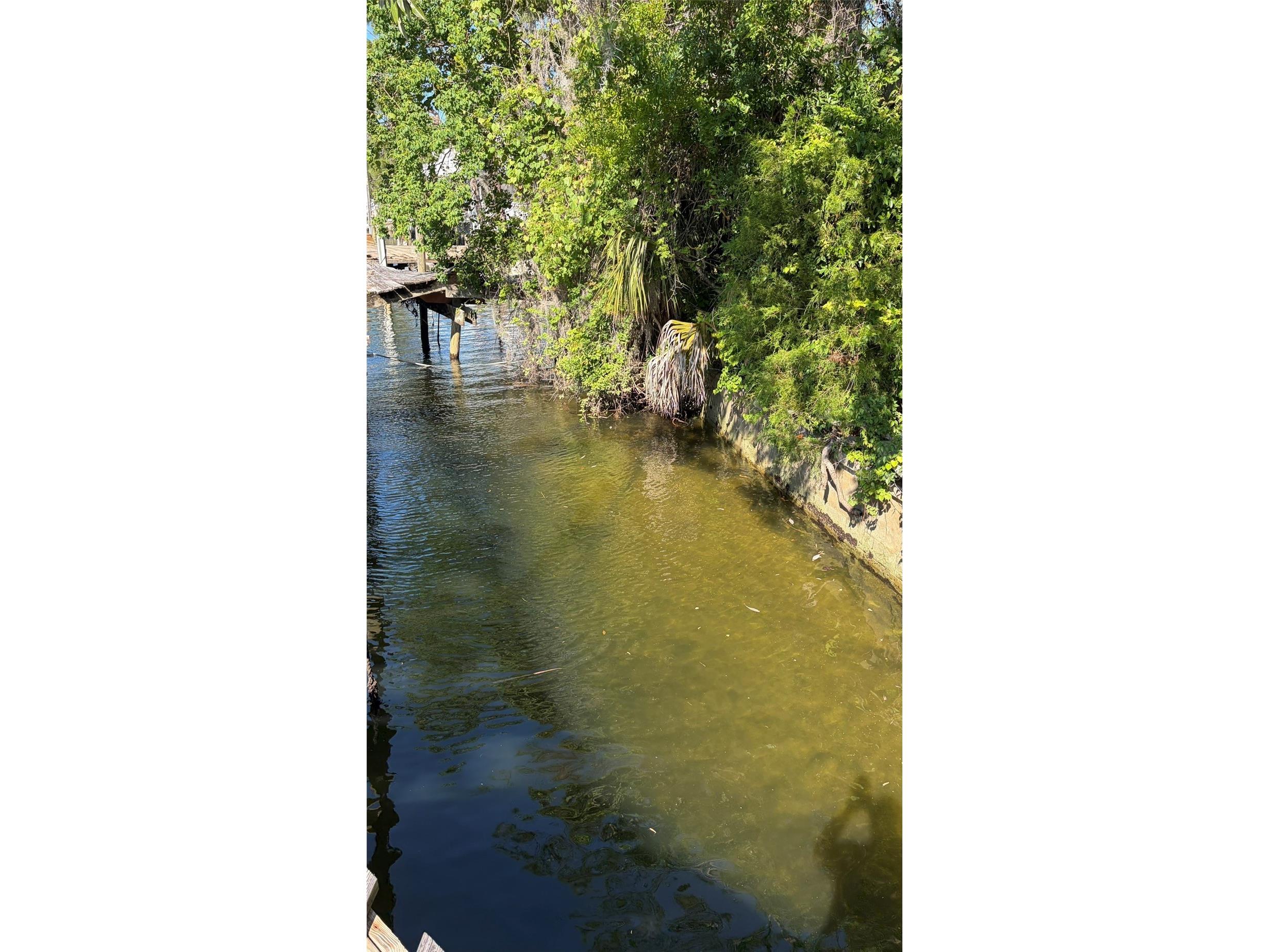 6601 Riverside Drive Yankeetown FL 34498 G5112223 image9