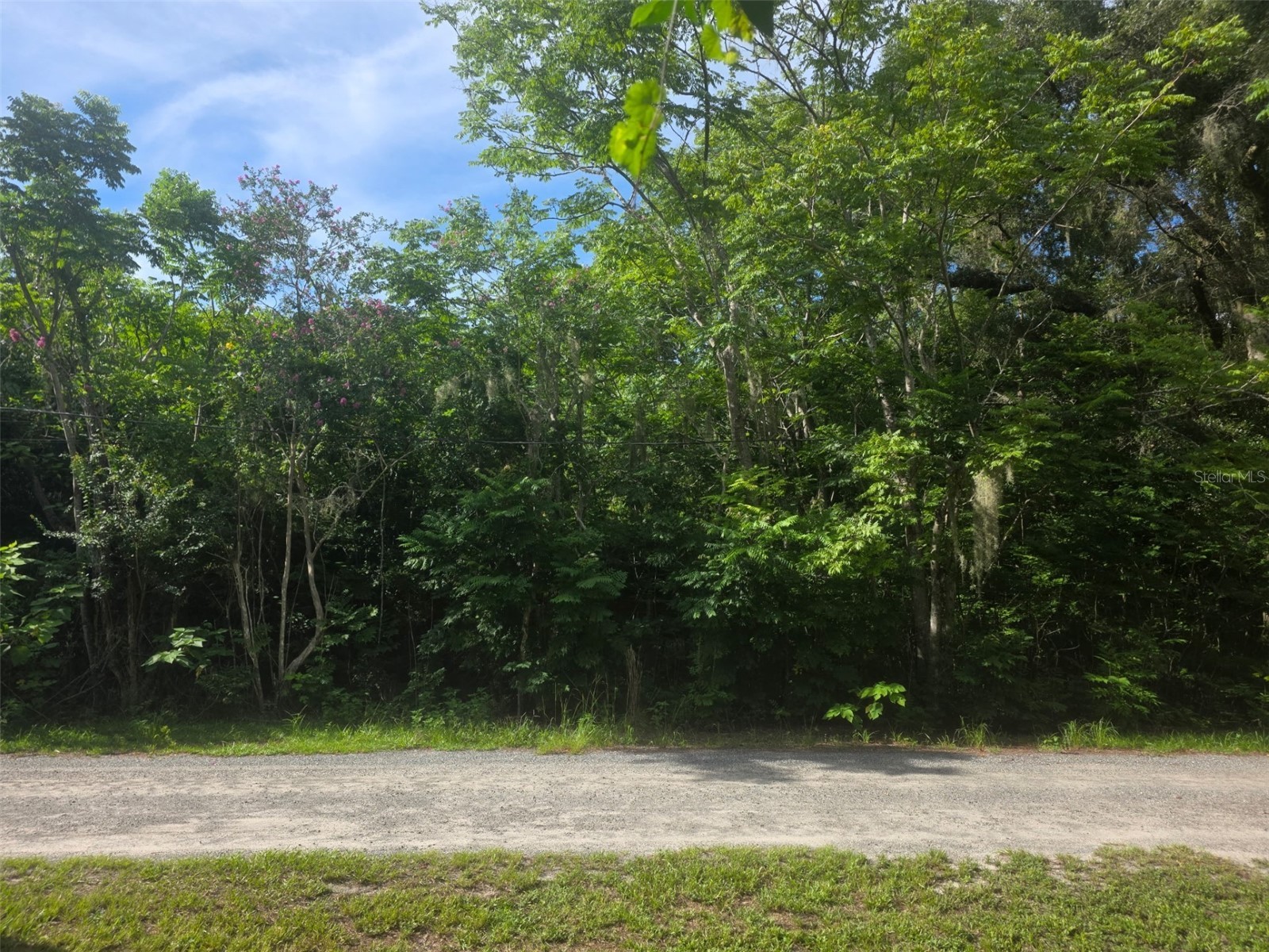 6601 SE 119th Street Belleview FL 34420 OM728107 image1