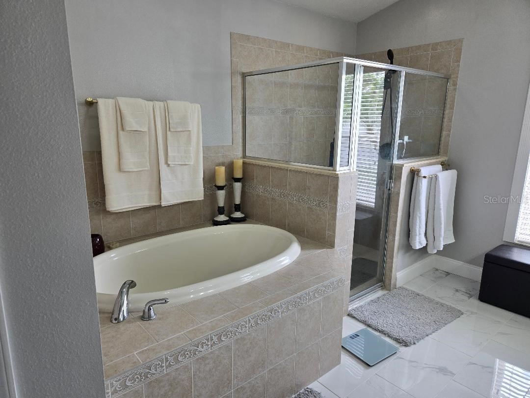 6601 Thackston Drive Riverview FL 33578 TB8349808 image15