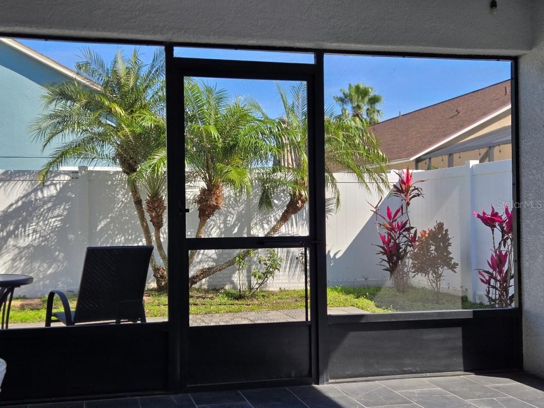 6601 Thackston Drive Riverview FL 33578 TB8349808 image22