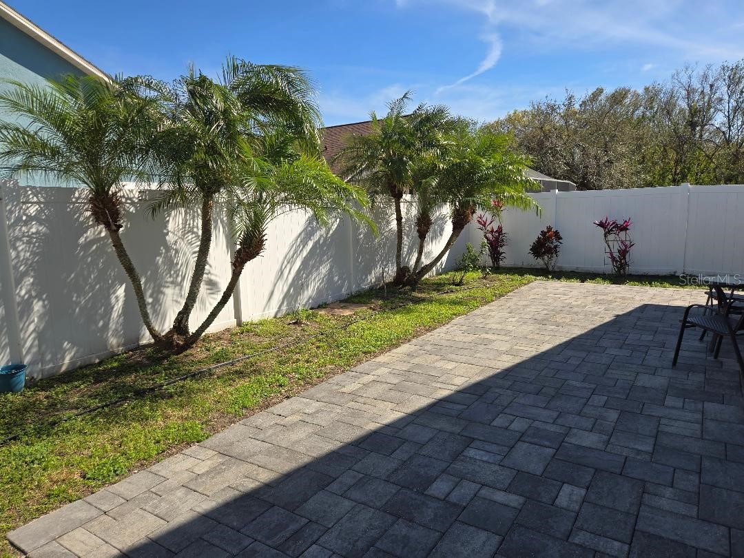 6601 Thackston Drive Riverview FL 33578 TB8349808 image23