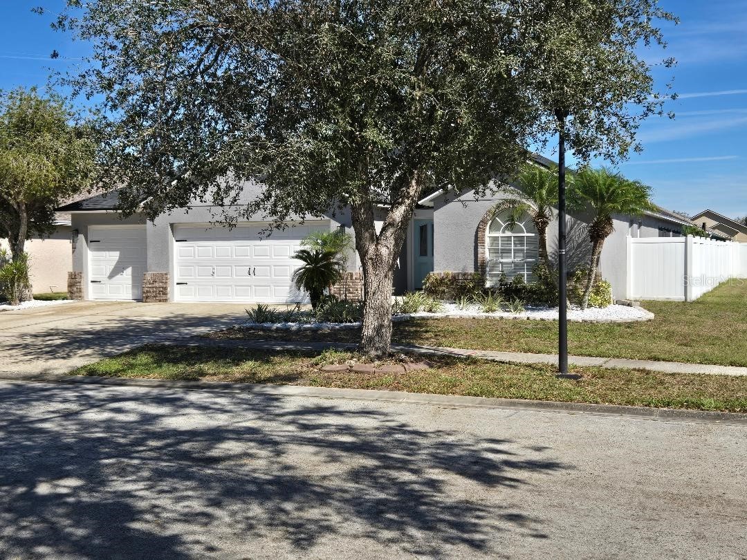 6601 Thackston Drive Riverview FL 33578 TB8349808 image28