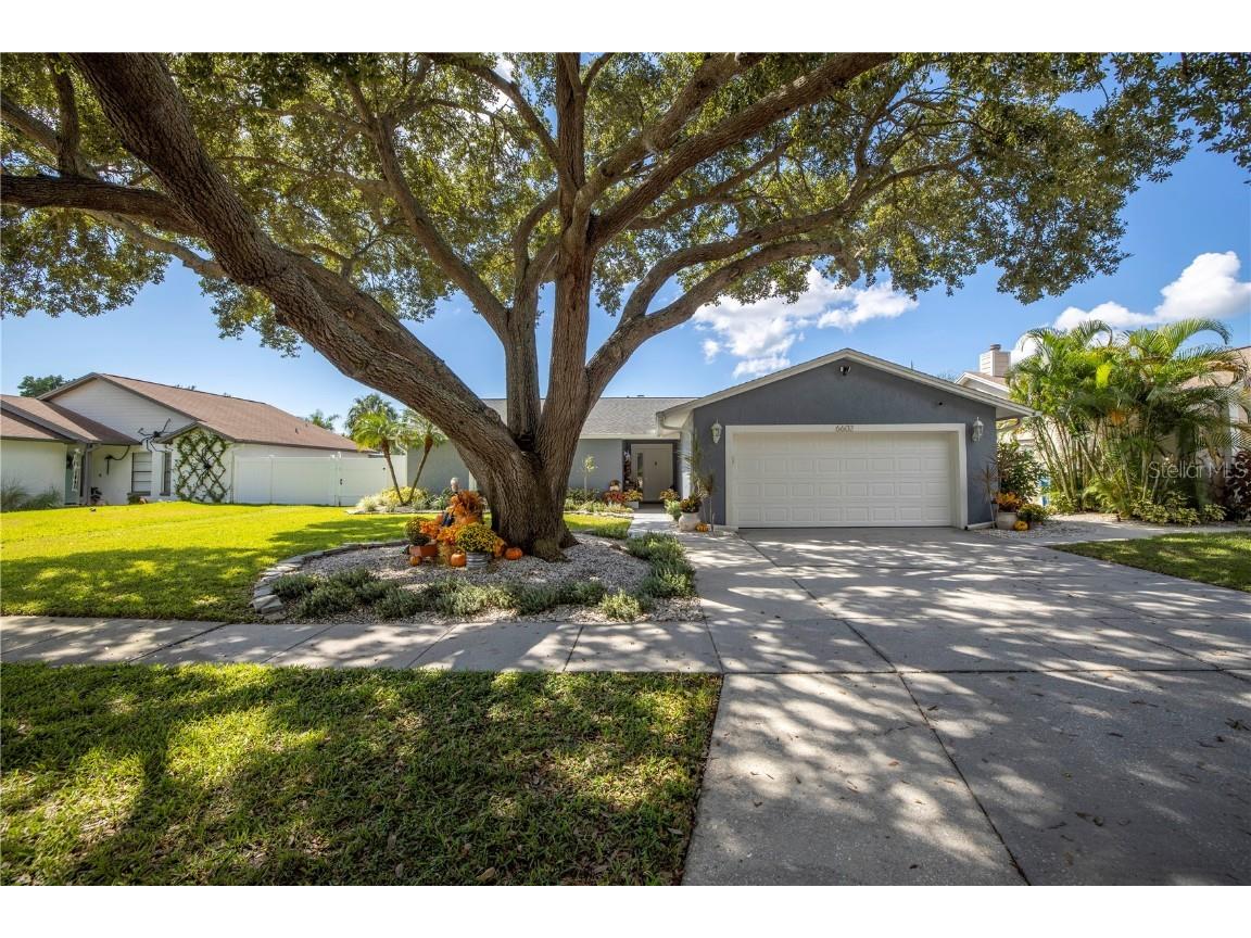 6602 Seafairer Drive Tampa FL 33615 - TAMPA BAY CHANNEL U8139950 image1