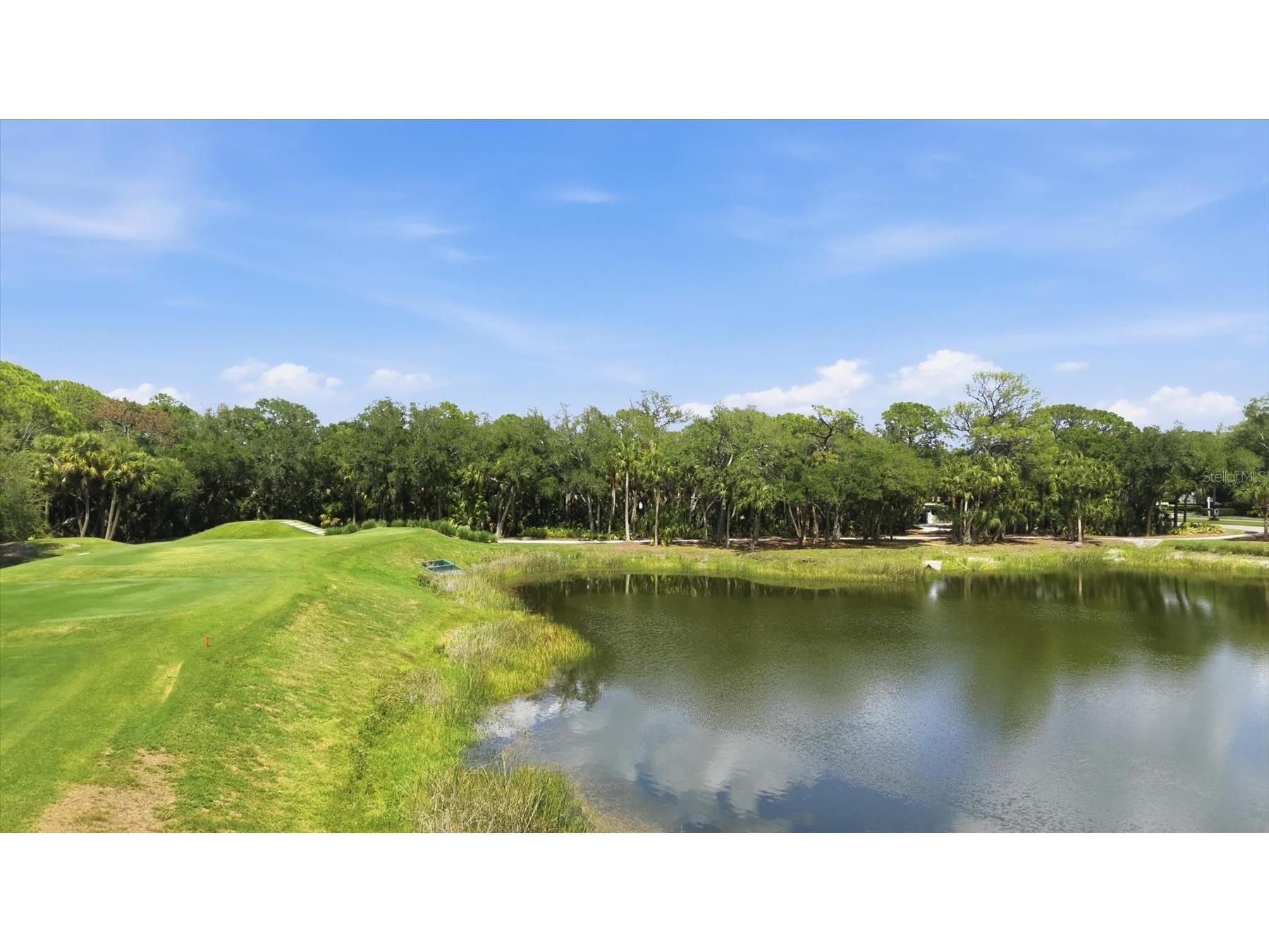 6602 Virginia Xing University Park FL 34201 A4694279 image38